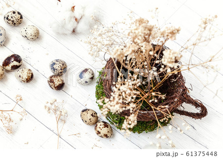 Easter decoration with egg in nest cup on white 61375448