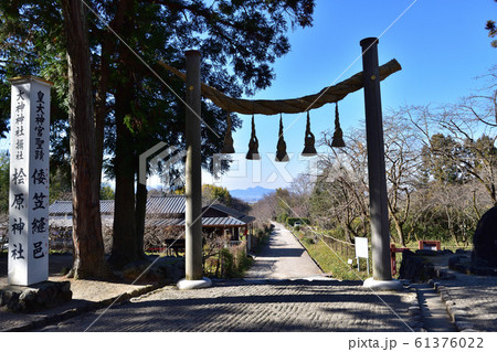 奈良・檜原神社鳥居から見た二上山 61376022
