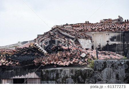火災後の首里城 火災後の首里城 61377273