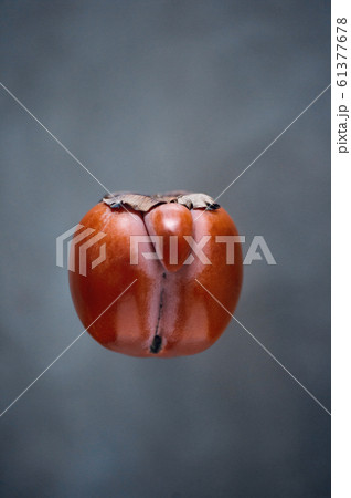 Orange ugly persimmon flying kaki fruit isolated Orange ugly persimmon flying kaki fruit isolated 61377678
