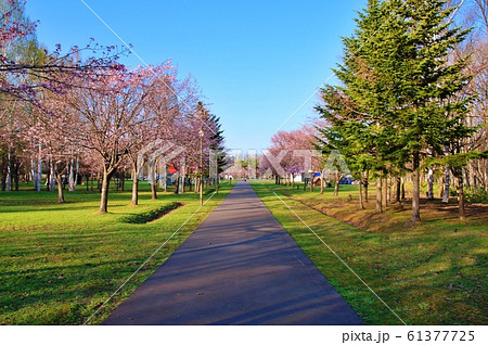 春光台公園グリーンスポーツ施設キャンプ場 61377725