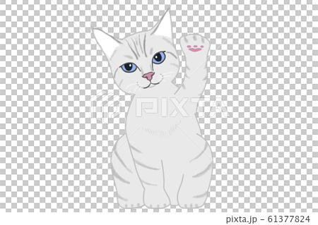 招き猫イラストのイラスト素材