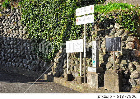 由比の町並み　薩埵峠（さった峠）ハイキングコース　東口麓の一里塚跡　 61377906