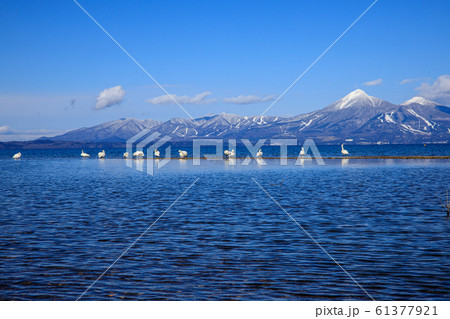 冬の猪苗代湖 61377921