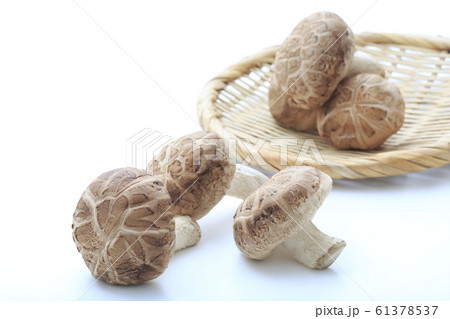 長野県産　一番採り　生どんこ 61378537