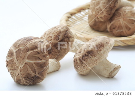 長野県産　一番採り　生どんこ 61378538