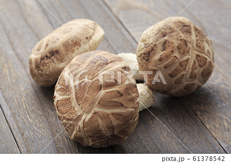 長野県産　一番採り　生どんこ 61378542