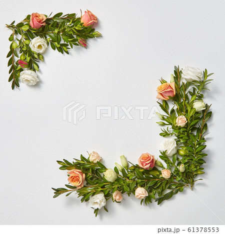 Square greeting card with evergreen twigs and flowers. Square greeting card with evergreen twigs and flowers. 61378553