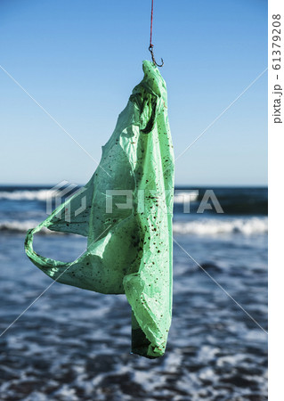 used plastic bag in a fish hook 61379208