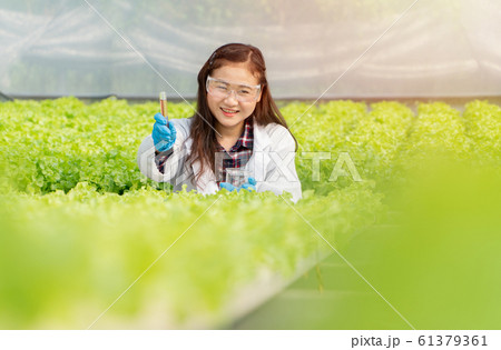 Asian woman scientists holding a research tube To 61379361