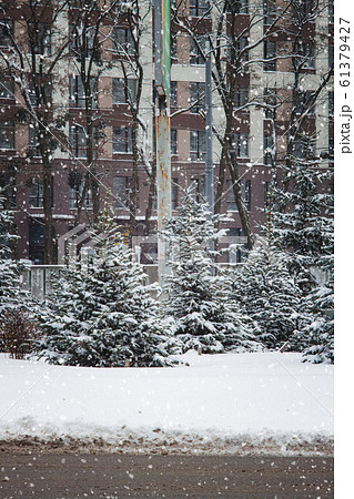 Christmas trees grow along a city road in front of a high-rise building. Snow landscape 61379427