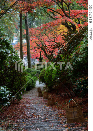 大興善寺の紅葉 大興善寺の紅葉 61379430