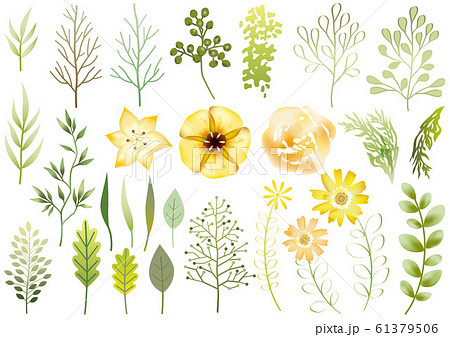 草花のエレメントセット 61379506