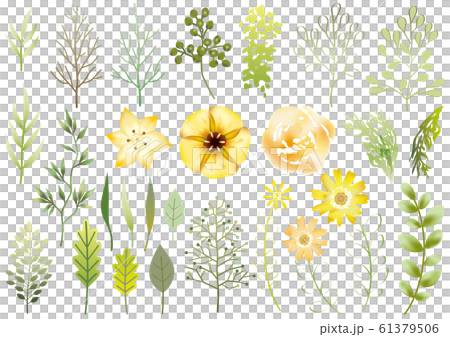 草花のエレメントセット 61379506