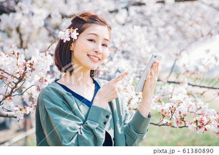 桜　女性　スマホ 61380890