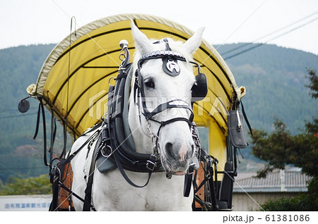 湯布院辻馬車 ゆふいん 観光地ゆふいん 湯布院辻馬車 ゆふいん 観光地ゆふいん 61381086