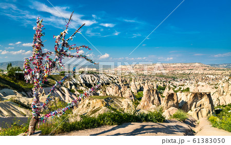 Wish tree in Cappadocia, Turkey 61383050
