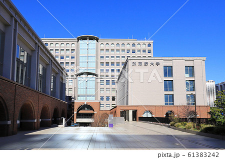 武蔵野大学 61383242