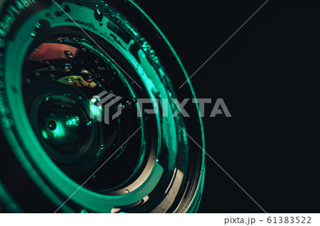 Close up Beautiful red trends bird  feather 61383522