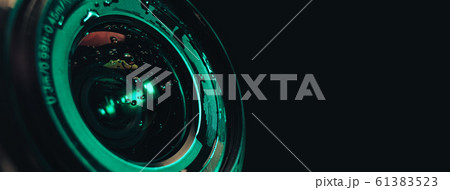 Close up Beautiful red trends bird  feather 61383523