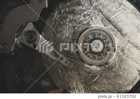 Close up Beautiful red trends bird  feather 61383702