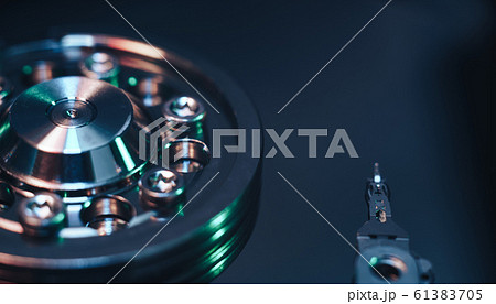 Close up Beautiful red trends bird feather Close up Beautiful red trends bird feather 61383705