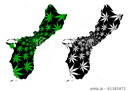 Guam - map is designed cannabis leaf 61383872