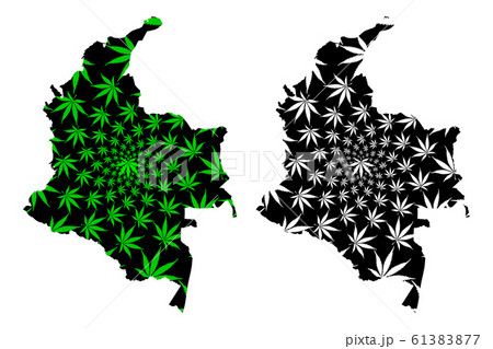 Colombia - map is designed cannabis leaf Colombia - map is designed cannabis leaf 61383877