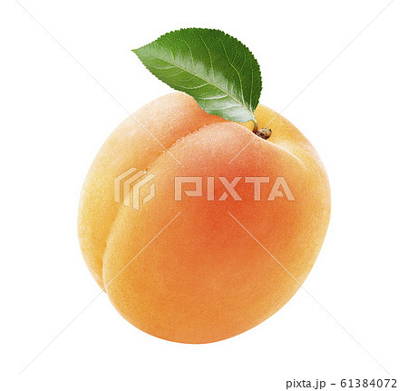 Single fresh apricot with a green leaf isolated on white background 61384072