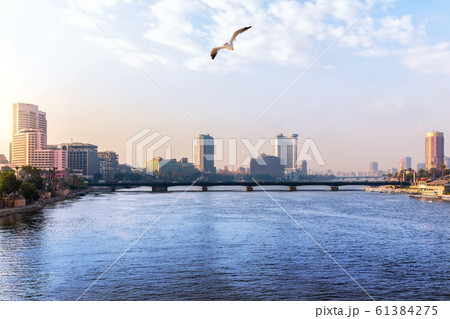 The Nile in the downtown of Cairo, Egypt, sunrise view 61384275
