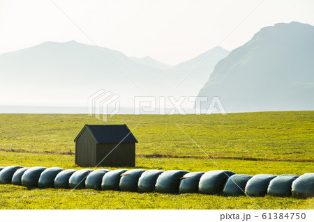 Rural scene with farm field and hay stacks Rural scene with farm field and hay stacks 61384750