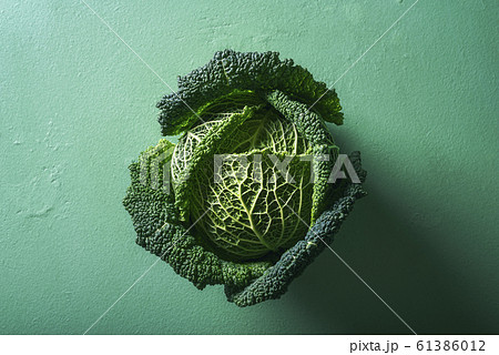 One cabbage on green background. Savoy cabbage. 61386012