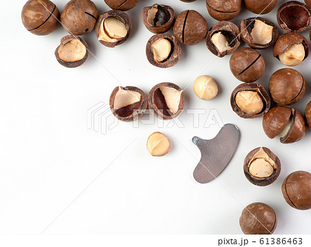 Set macadamia nuts isolated Set macadamia nuts isolated 61386463