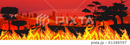 silhouettes of kangaroos running from forest fires in australia animals dying in wildfire bushfire burning trees natural disaster concept intense orange flames horizontal 61386597