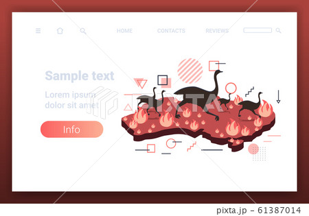 map of Australia with ostriches running from bushfire endangered animals dying in wildfire natural disaster concept intense orange flames copy space horizontal map of Australia with ostriches running from bushfire endangered animals dying in wildfire natural disaster concept intense orange flames copy space horizontal 61387014