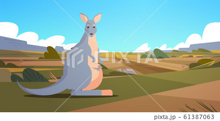 wallaby with baby in australia desert australian wild animal wildlife fauna concept landscape background horizontal 61387063
