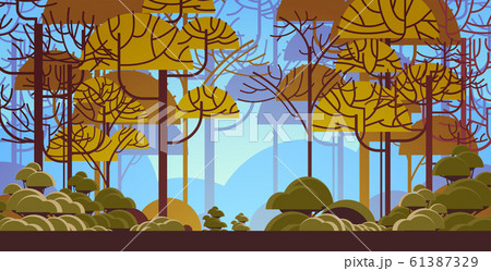 morning green tree forest beautiful nature landscape background flat horizontal morning green tree forest beautiful nature landscape background flat horizontal 61387329
