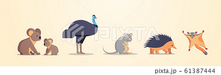 set cartoon endangered wild australian animals collection wildlife species fauna concept flat horizontal set cartoon endangered wild australian animals collection wildlife species fauna concept flat horizontal 61387444