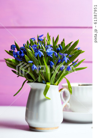 snowdrops in a vase snowdrops in a vase 61387951