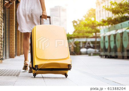Girl traveler and suitcase Girl traveler and suitcase 61388204