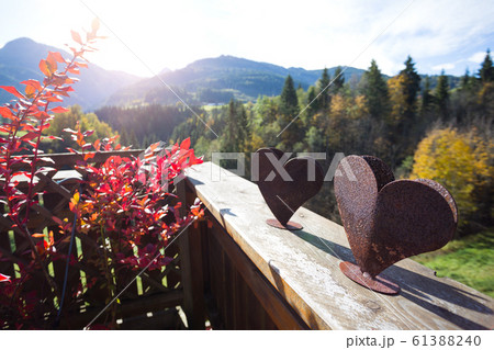 cozy terrace with garden decor cozy terrace with garden decor 61388240