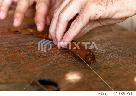 Making a cuban cigar in Viniales - Cuba Making a cuban cigar in Viniales - Cuba 61389051