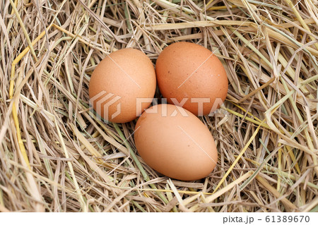 many brown eggs on rice straw.The benefits of egg many brown eggs on rice straw.The benefits of egg 61389670