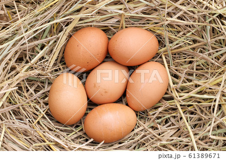 many brown eggs on rice straw.The benefits of egg many brown eggs on rice straw.The benefits of egg 61389671