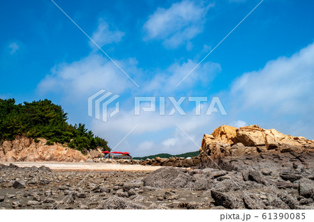陸 浜 崖 61390085