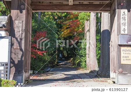 京都　正伝寺（しょうでんじ）の紅葉　　　 61390127
