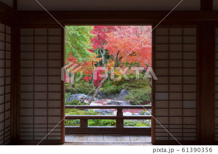 京都　宝筐院（ほうきょういん）の紅葉　　　　　　　 61390356