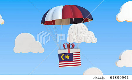 Carton with flag of Malaysia falls with a parachute. 3D rendering 61390941