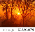 朝陽に染まる 61391079