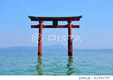 白髭神社 湖中大鳥居 白髭神社 湖中大鳥居 61391797